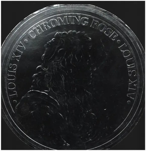 Chroming rose louis - louis, xiv