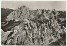 SAPPADA - CADORE - BELLUNO - PASSO DEL MULO VERSO PERALBA - VIAGG. 1963 -49989-