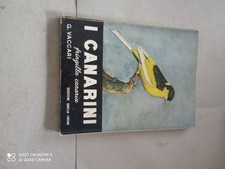 I canarini (fringilla canaria)
