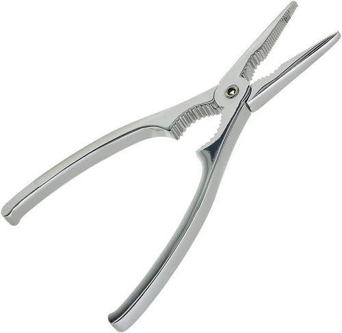 Pinza per aragoste crostacei - pinza,