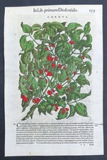 Stampa antica 1565 pietro