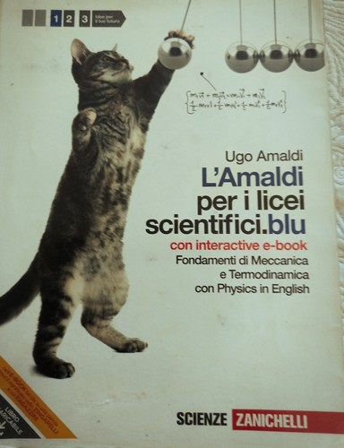 Amaldi per i licei - l',