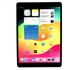 Apple ipad pro 256gb - apple,
