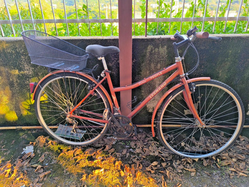 Bicicletta bici passeggio - bici, da
