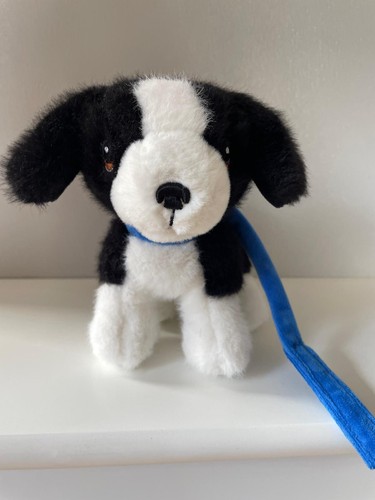 Keeleco border collie - keeleco, cucciolo