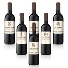 Col Silente Vino Nobile di Montepulciano DOCG 6 bottiglie 75 cl.