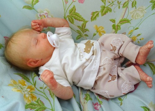 Reborn piccolo neonato cal - reborn,
