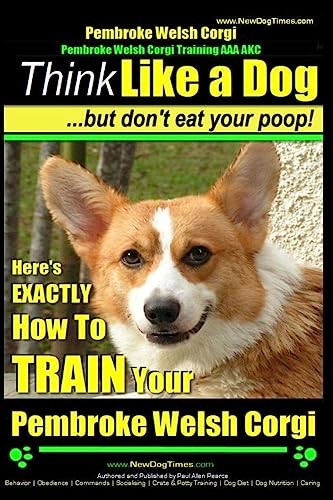 Pembroke welsh corgi - pembroke,
