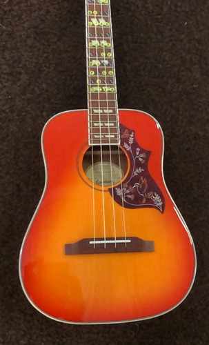 Ukulele tenore epiphone - tenore,