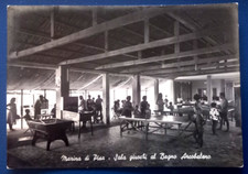 MARINA DI PISA FG BN BAGNO ARCOBALENO FLIPPER PING PONG TENNIS TAVOLO 1958