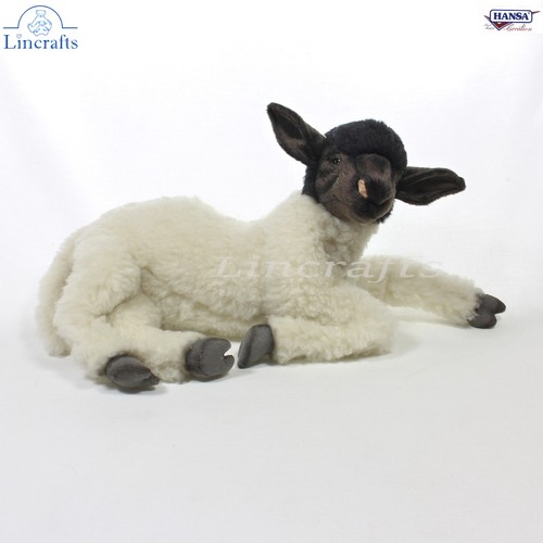 Hansa suffolk pecora agnello - suffolk,