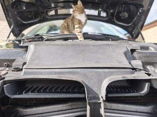 Per bmw e46 airscoop - e46,