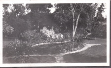 VINTAGE PHOTOGRAPH PARK GARDEN