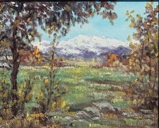 Giovanni Saccomano ( Udine