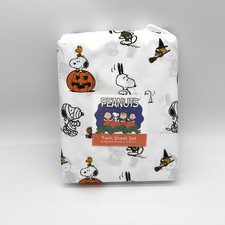 Peanuts Snoopy Woodstock set