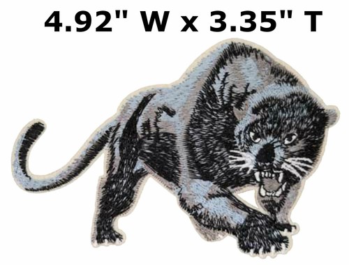 Pantera nera gatto - , puma