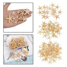 Stelle marine naturali - ,