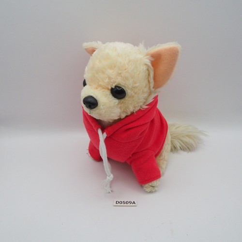 D0509a chihuahua quechan - quechan, cane