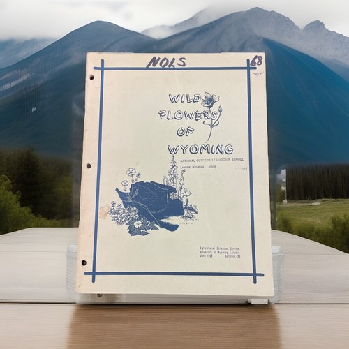 Wild flowers wyoming - of,