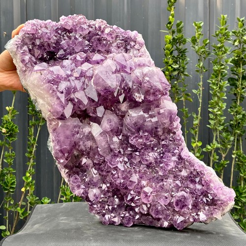 Libbre grande ametista - 25,57,