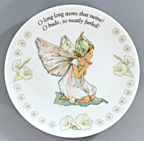 World flower fairies - world,