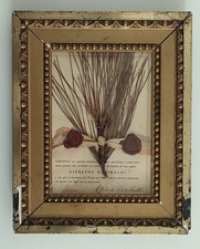 Reliquia Garibaldi Ramoscello con Firma Clelia Mazzini Verdi MassoneriaFuturismo