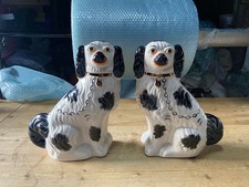COPPIA CANI STAFFORDSHIRE