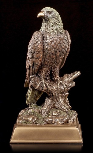 Aquila figura seduto ramo - aquila,
