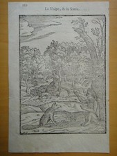 1607-LA VOLPE, & LA SIMIA-Xilografia di GIOVANNI MARIO VERDIZZOTTI-originale+