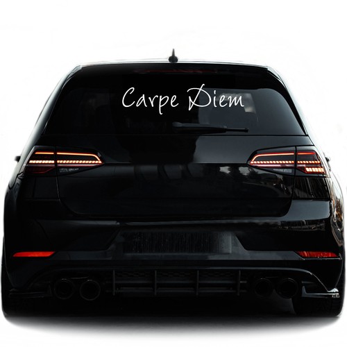 Carpe diem adesivo auto - carpe,