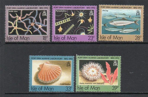 Isola man mnh 1992 - isola, di