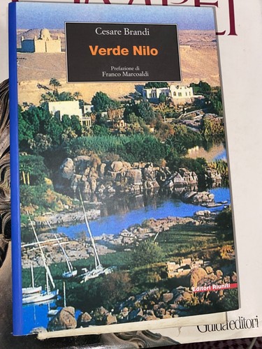 Brandi verde nilo - verde,