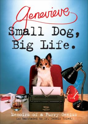 Small dog big - small,