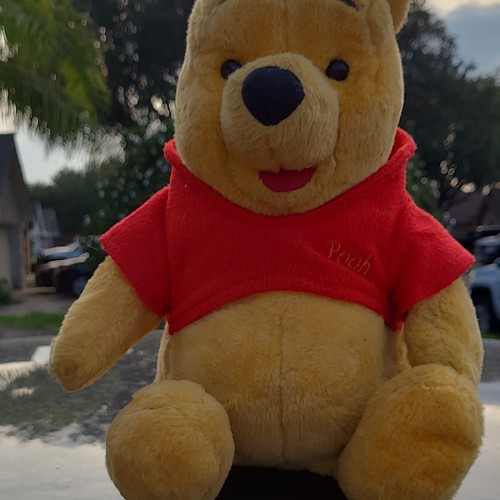 Mattel disney winnie the pooh - disney,