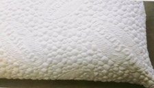 Guanciale Memory from 100%