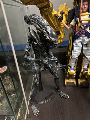 Hot toys aliens figura - -,
