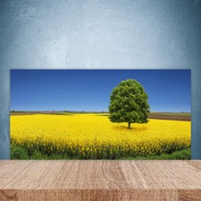 Paraschizzi da Cucina 100x50