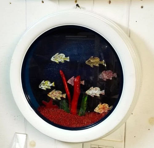 Acquario pesci colorati