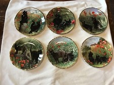 Serie di 6 piatti da collezione in porcellana raffiguranti gattini neri