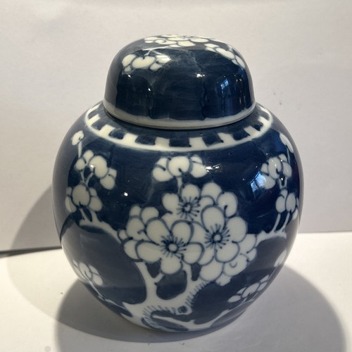 Antico vaso zenzero prunus blu