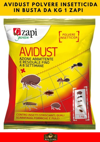 Avidust polvere - avidust,