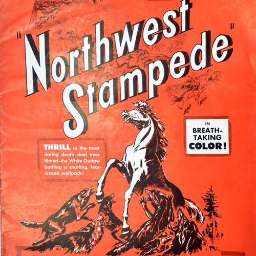 Libro espositore 1948
