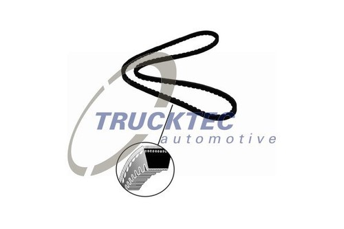 Trucktec automotive cinghia - cinghia, 10