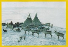 Panini National Geographic -