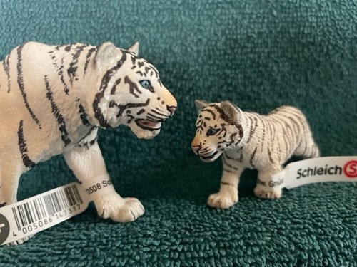 Tigre cucciolo bianco di - e,