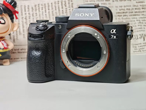 Fotocamera digitale mirrorless
