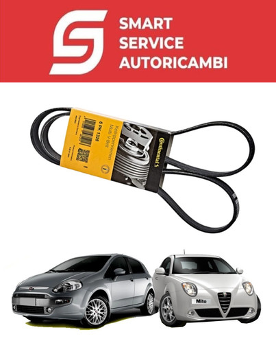 Cinghia servizi alternatore - servizi,