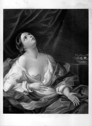 Stampa antica cleopatra morsa - antica,