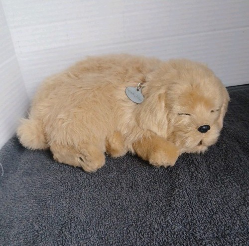 Petzzz golden retriever - petzzz,