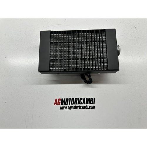 Radiatore regal raptor - radiatore,